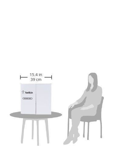 Belkin Cat 5E Bulk Patch Cable (Gray, 1000 Foot Reel)