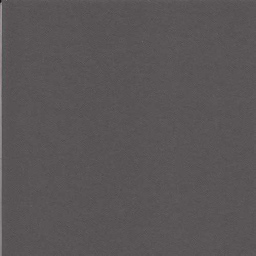Arttoframes Mat 154 23X31 Charcoal Cinder/Charcoal Custom Mat For Picture Frame, 23X31