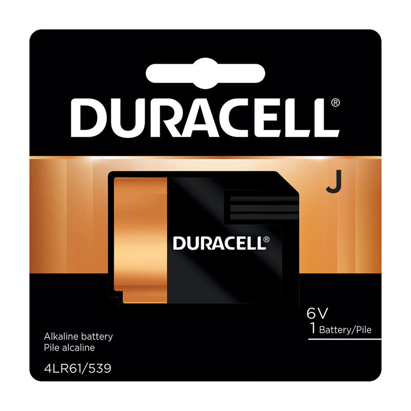 Battery Photo Flat6V 67 (Pack Of 1)