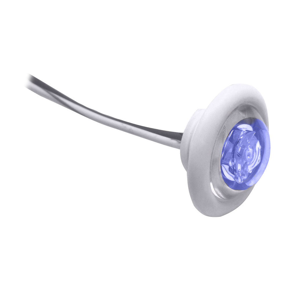 Innovative Lighting Led Bulkhead/Livewell Light ''The Shortie'' Blue Led W/ White Grommet,WBHOMA001343163