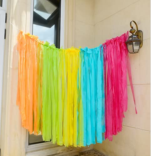 50Pcs Hot Pink Streamers Party Decorations Streamer Backdrop 24Colors Fringe Backdrop For Birthday Baby Shower Cocomelon Party D