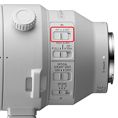 Sony FE 200 600mm F5.6 6.3 G OSS Super Telephoto Zoom Lens (SEL200600G)