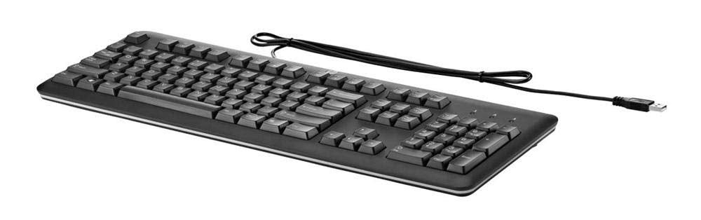 HP-CTO QY776AA#ABA USB Keyboard U.S