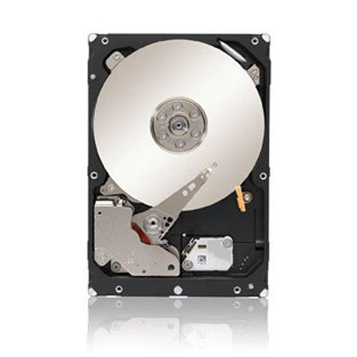 Seagate 1Tb Enterprise Capacity Hdd Sata 6Gb/S 128Mb Cache 3.5 Inch Internal Bare Drive (St1000Nm0033),Black