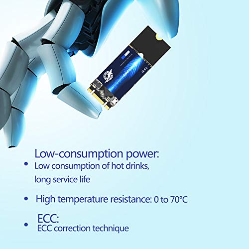 Ssd M.2 2260 1Tb Dogfish Ngff Internal Solid State Drive High Performance Hard Drive For Desktop Laptop Sata Iii 6Gb/S Includes