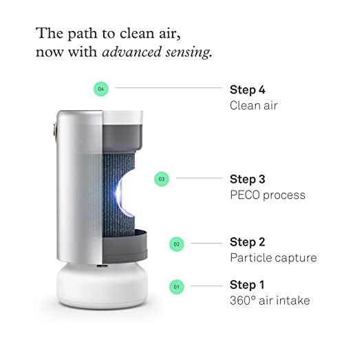 Molekule Peco Hepa Tri Power Filter Air Pro | Air Purifier Replacement Filters For Smoke, Mold, Bacteria, Viruses, Allergens & O