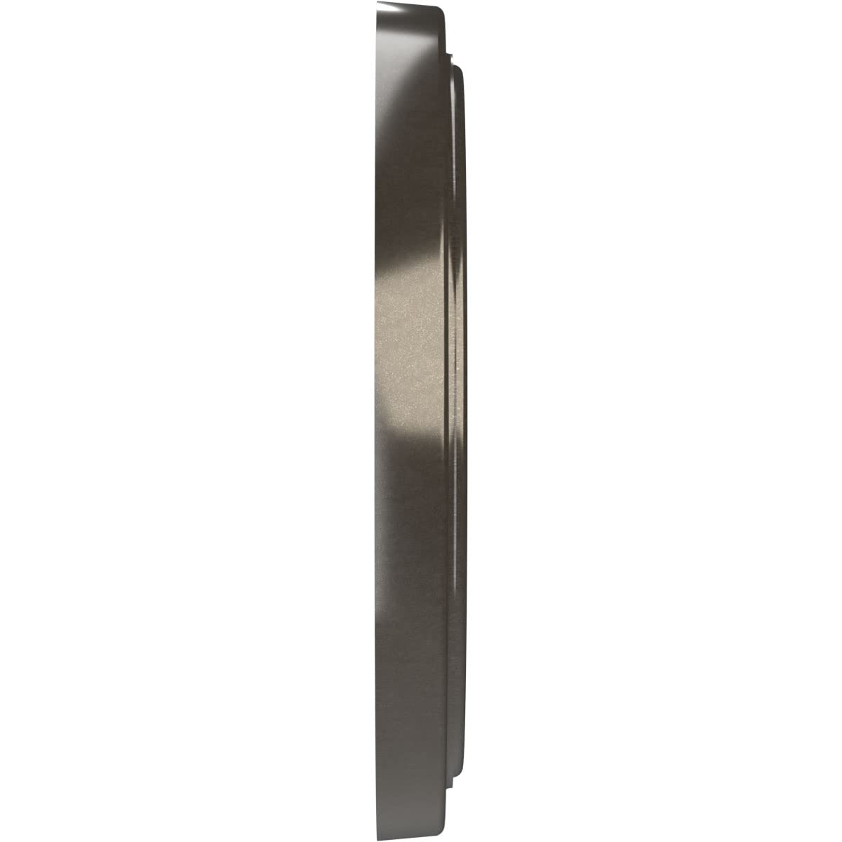 Ekena Millwork Cmp10Trcch Traditional Thermoformed Pvc Ceiling Medallion (Fits Canopies Up To 5 1/2''), 10''Od X 3 1/2''Id X 1 1