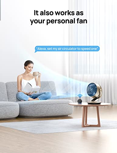 Dreo Smart Desk Fan For Bedroom, 13'' H Whole Room Air Circulator Fan, 120 Vertical Manual +90 Oscillating Fan With Voice/Google