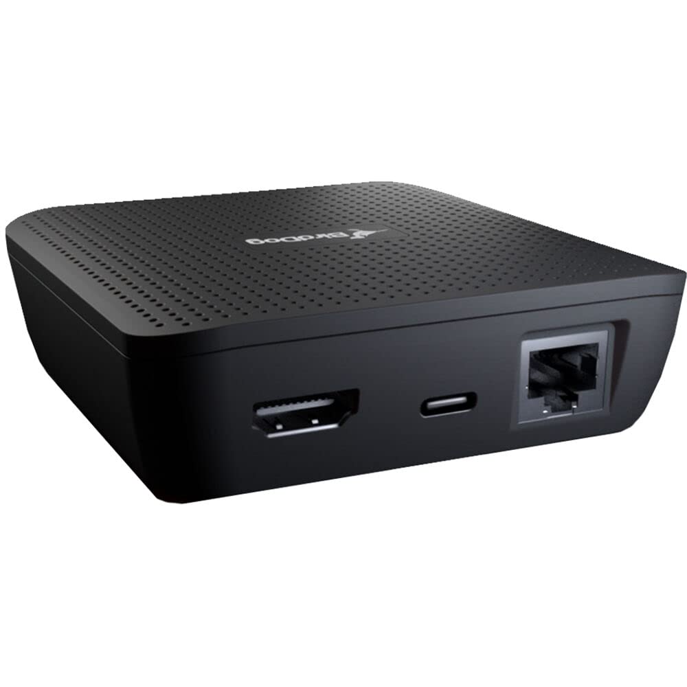 Birddog Play 4K Ndi Player