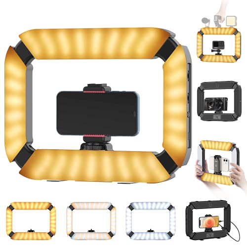 Smartphone Video Rig Pictron U200 Handheld Led Ring Light Selfie Light Phone Video Stabilizer For Camera, Smartphone, Gopro, You