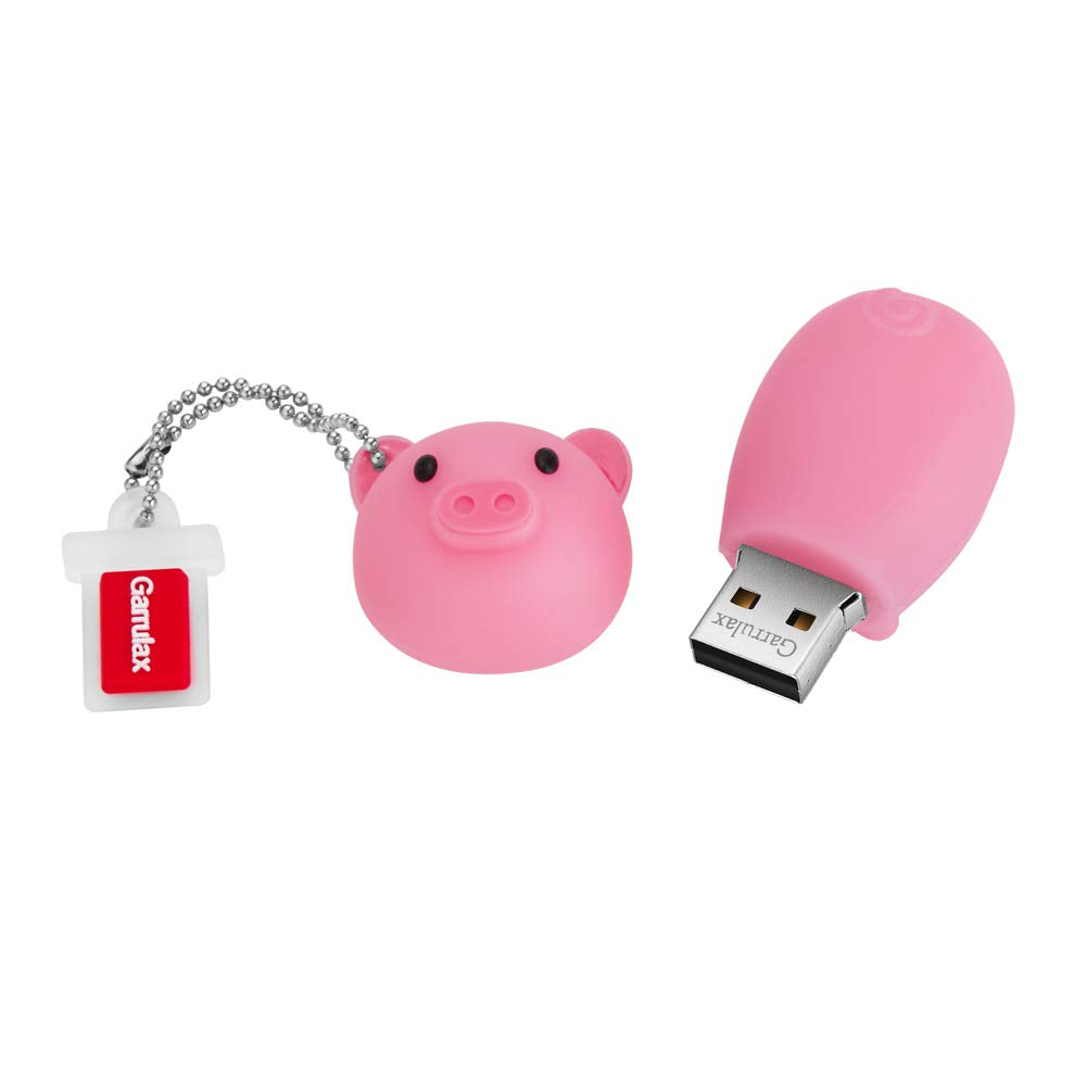 Garrulax Usb Flash Drive, 8Gb / 16Gb / 32Gb Usb 2.0 Updated Waterproof Usb Memory Stick Date Storage Pendrive Thumb Drives (16Gb