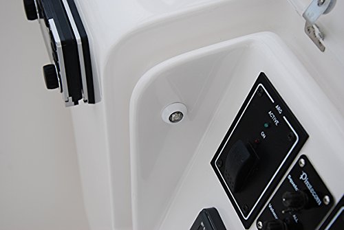 Lumitec 101049 Exuma Courtesy/Accent Light, Direct / 360 Degree, Stainless Case, White, One Size,WBLITB00976S43S