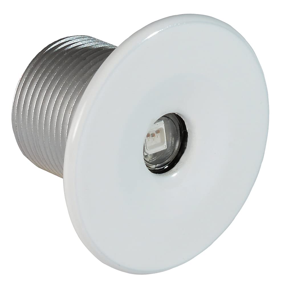 Lumitec 112223. Echo Courtesy / Accent Light, White Housing, White,WBLITB00976SW8A