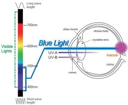 Eyes Pc Blue Light Screen Protector Panel Universal For 22, 21.5, 20 Inch Diagonal Led Monitor (W 20.6 X H 12.5). Blue Light Blo
