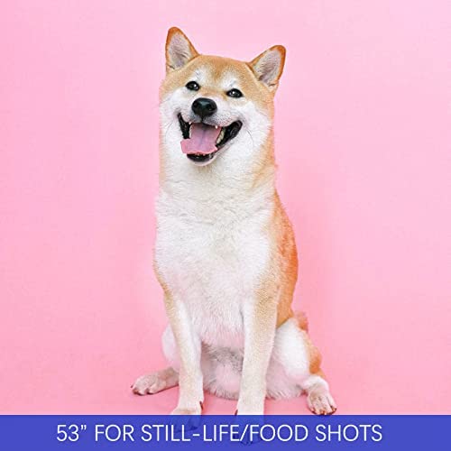 Phsureo Seamless Photo Photography Backdrop Paper, Pink Photo Background Paper Roll (53   X16', 17 Carnation Pink)