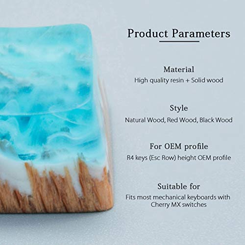 Tinton Life Delicate Hand Engraved Resin Wood Translucidus Backlit Key Caps For Mechanical Keyboards (Red Wood)