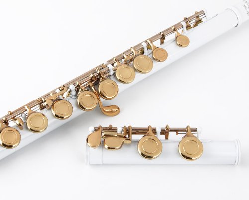 Glory Closed Hole C Flute With Case, Tuning Rod And Cloth,Joint Grease And Gloves White/Laquer