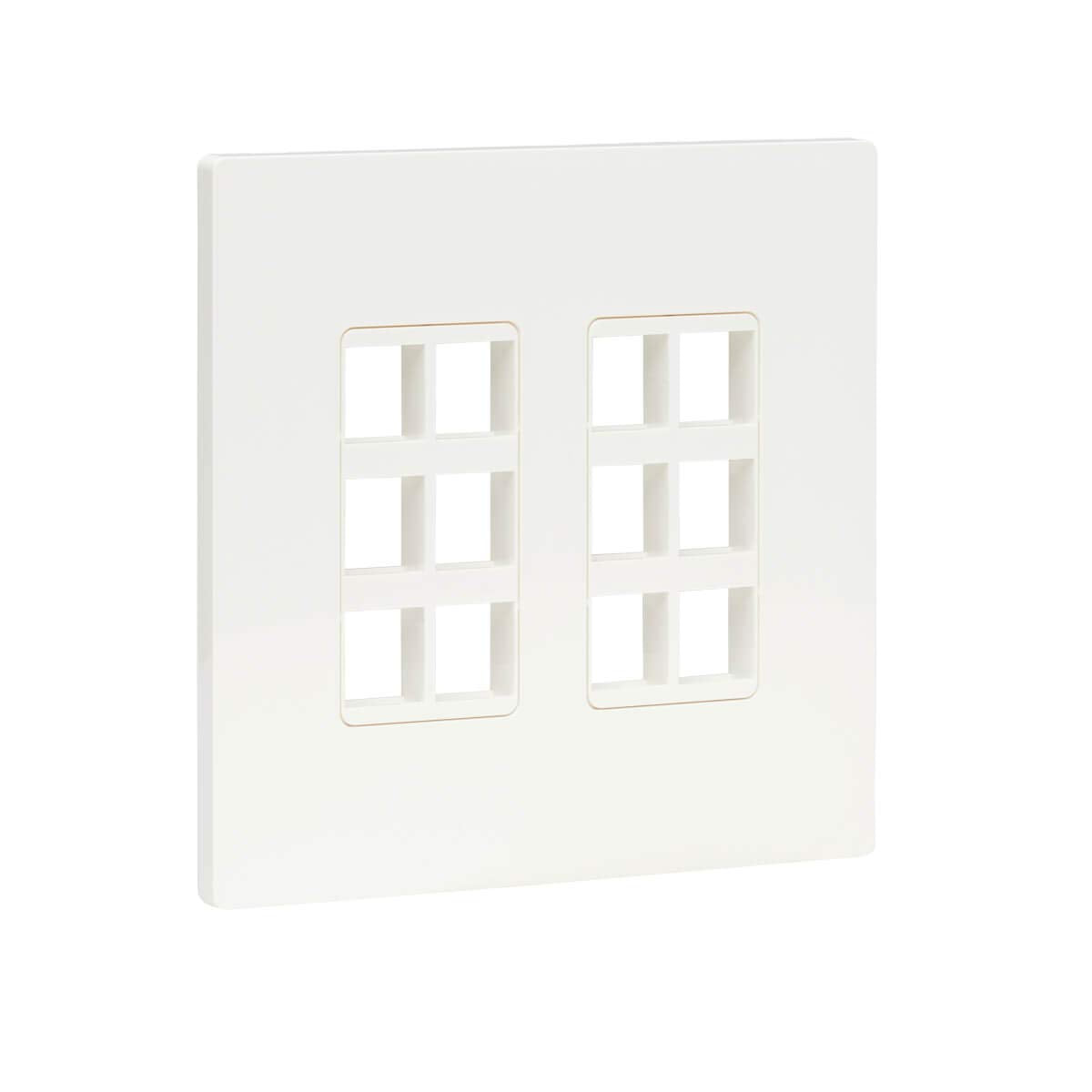 Tripp Lite 12 Port Universal Keystone Double Gang Wall Plate, 2 Gang Faceplate, Adaptable, Taa, White (N080 212)