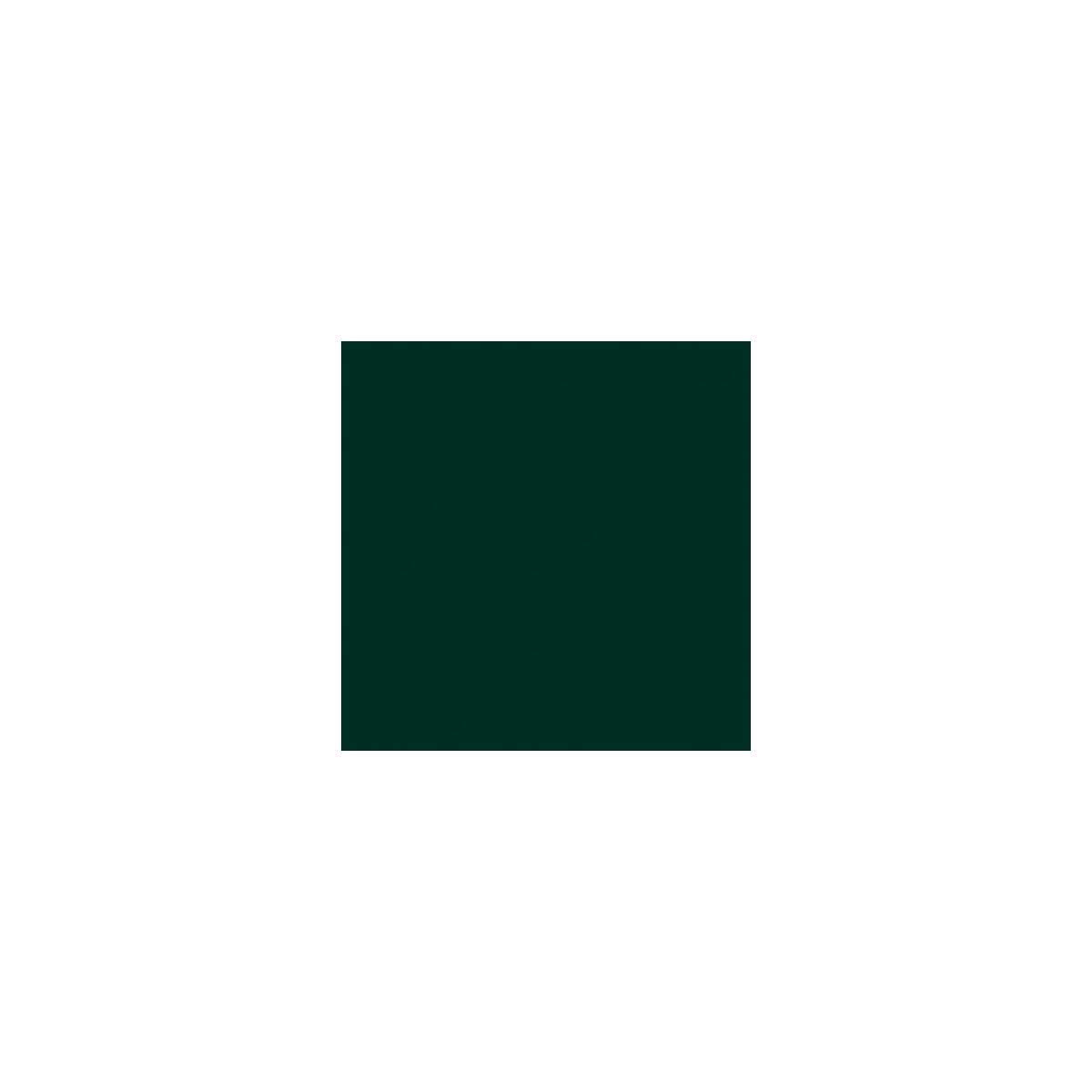 Rosco Roscolux Primary Green, 20 x 24 Color Effects Lighting Filter