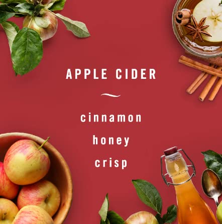 Febreze Plug In Air Freshener, Odor Fighting Scented Oil Refill, Baked Cinnamon Apples, 1 Refill