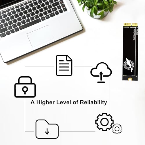 Dogfish 256Gb Mac Ssd Nvme Pcie Gen3X4 Compatible With Apple Macbook Air (Mid 2013 2017), Macbook Pro (Retina, Late 2013   Mid 2