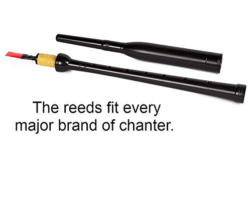 Frazer Warnock Practice Chanter Reed (2) Reeds Plus Special Tube