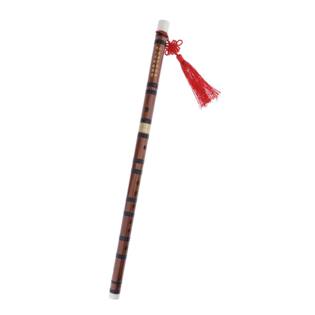 Atorse Professional Chinese Bitter Bamboo Flute Dizi Woodwind Instrument D Key| Musical Instruments & Gear|Wind & Woodwind|Band