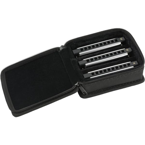 Fender Harmonicas Harp Case, Chrome (0990701021)