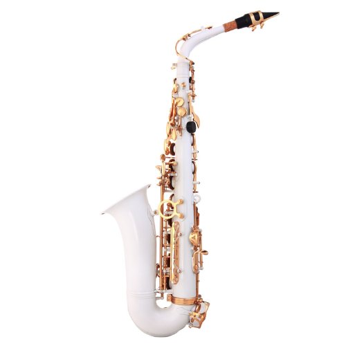 Glory White Laquer E Flat Alto Saxophone With 11Reeds,8 Pads Cushions,Case,Carekit