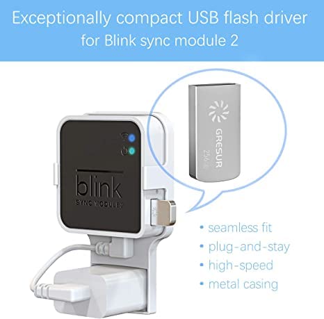 256Gb Blink Usb Flash Drive For Local Video Storage With The Blink Sync Module 2 Mount (Blink Add On Sync Module 2 Is Not Included),2Pack