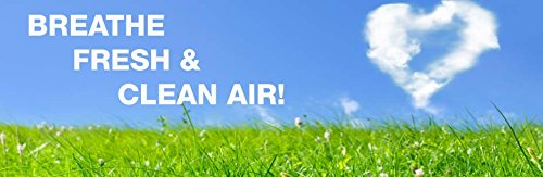 Fette Filter   Replacement Carbon Pre/Post Filters Compatible With Holmes Air Purifiers   Compatible With Part Aor31 Filter I In
