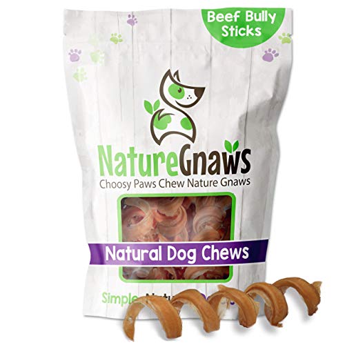 Nature gnaws Bully Stick Springs for Dogs - Premium Natural Beef Dental Bones - Long Lasting curly Dog chew Treats for Aggressiv