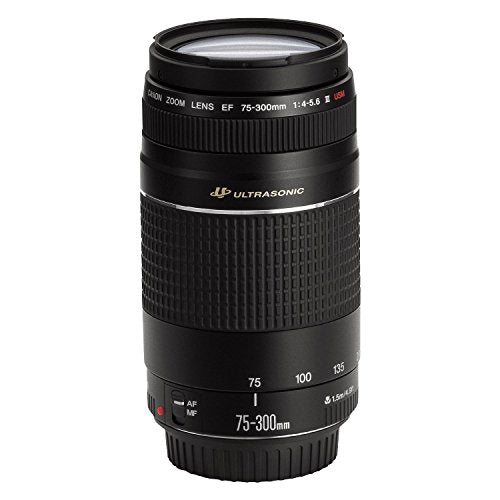 Canon 75 300mm F4 5.6 III EF Lens (Non USM)