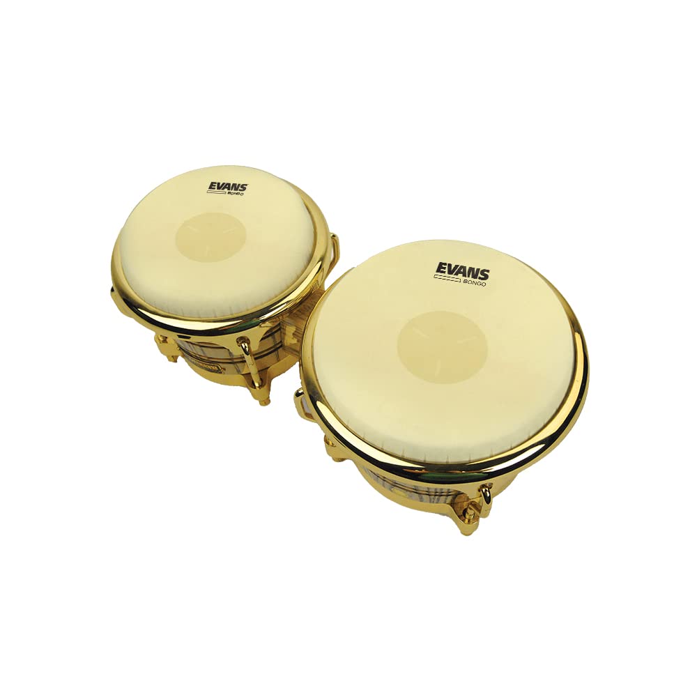 Evans Tri Center Bongo Head, 8 5/8 Inch