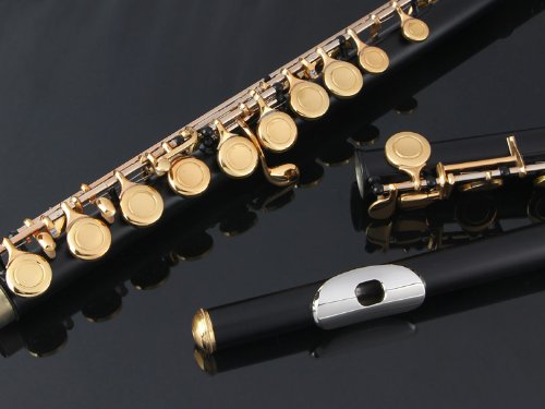 Glory Closed Hole C Flute With Case, Tuning Rod And Cloth,Joint Grease And Gloves Black/Laquer