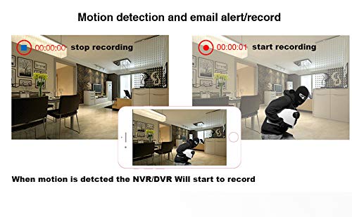 Xenocam 16Ch 5M N/1080N Full High Definition Hybrid For Ahd/Tvi/Cvi/Analog/Onvif Ip Dvr H.265 Cctv Video Recorder P2P Remote Pho