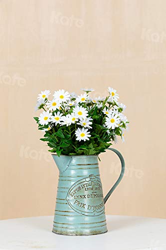 Kate 10Ft  12Ft Solid Beige Backdrop Portrait Photography Background For Photography Studio Children And Headshots Beige Backdro