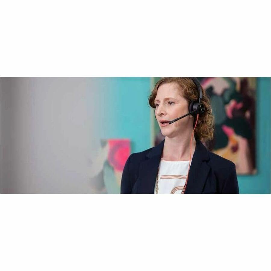 Poly Bw3320 Usba Teams Headset