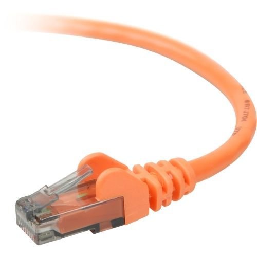 Belkin Components Cat6   Patch Cable   Rj 45   Male   Rj 45   Male   Unshielded Twisted Pair (Utp)