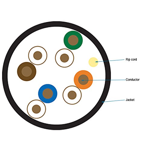 Black Box Cat6 550 Mhz Bulk Cable Utp Cm Pvc Bk 1000Ft Spool
