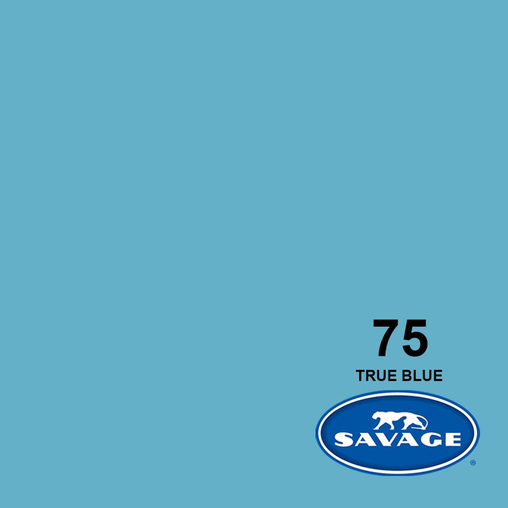 Savage Seamless Background Paper   #75 True Blue (107' X 36')