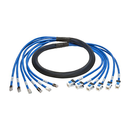 Tripp Lite Augmented Cat6/Cat6A Pre Terminated Copper Trunk Bundle, (6X) Rj45 (M/F), 10 Ft. (N261 010 6Mf Bl)