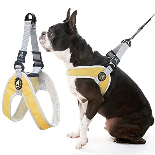 Gooby Simple Step In Iii Harness   Yellow, X Small   Small Dog Harness With Scratch Resistant Outer Vest   Soft Inner Mesh Harne