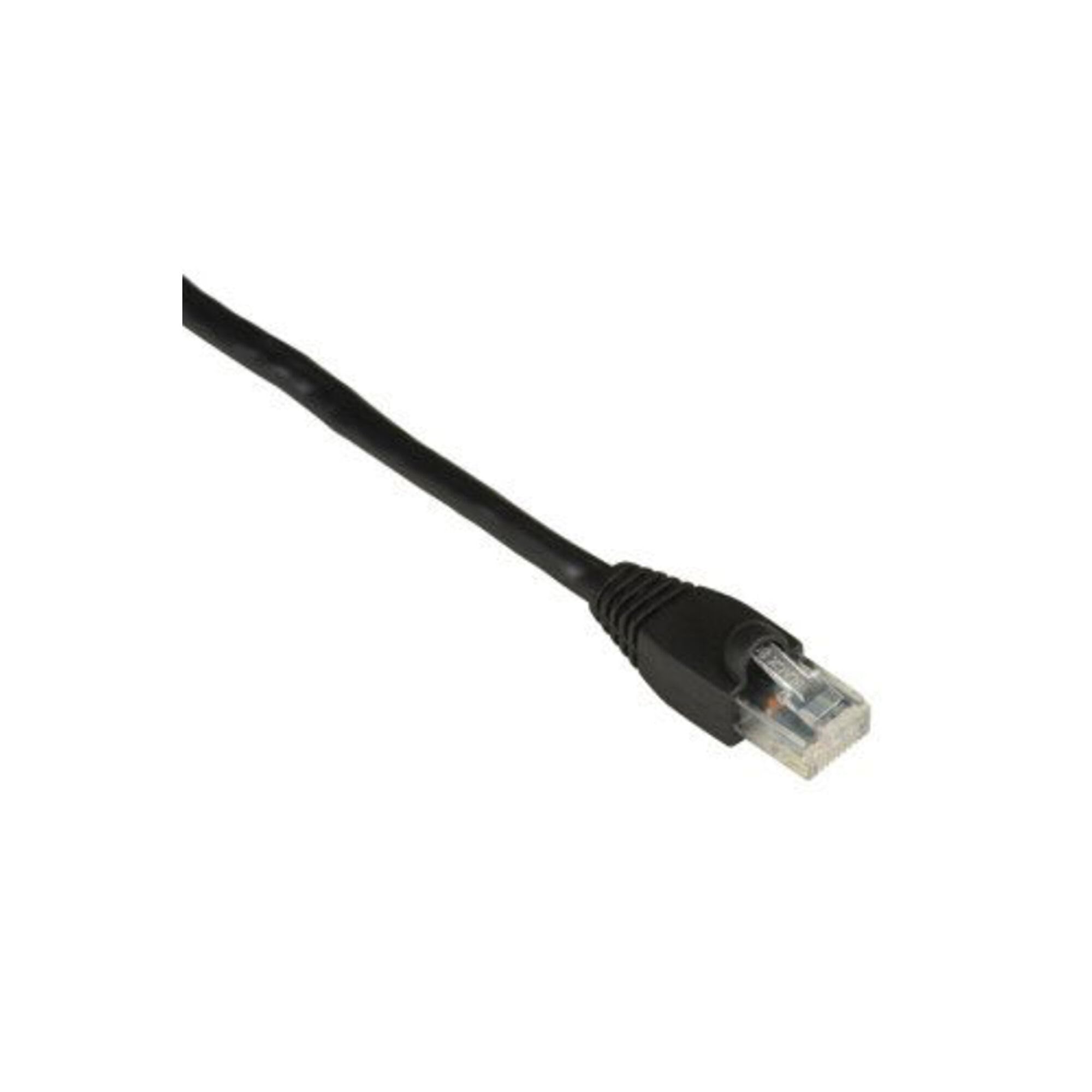 Black Box Corporation 25Ft Black Cat6 550Mhz Patch Cable Utp Cm Snagless