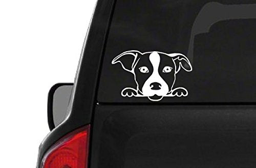 Peeking Jack Russell Terrier (A27) Vinyl Decal Sticker Car/Truck Laptop/Netbook Window 6'' Inch  By Customdecal Us