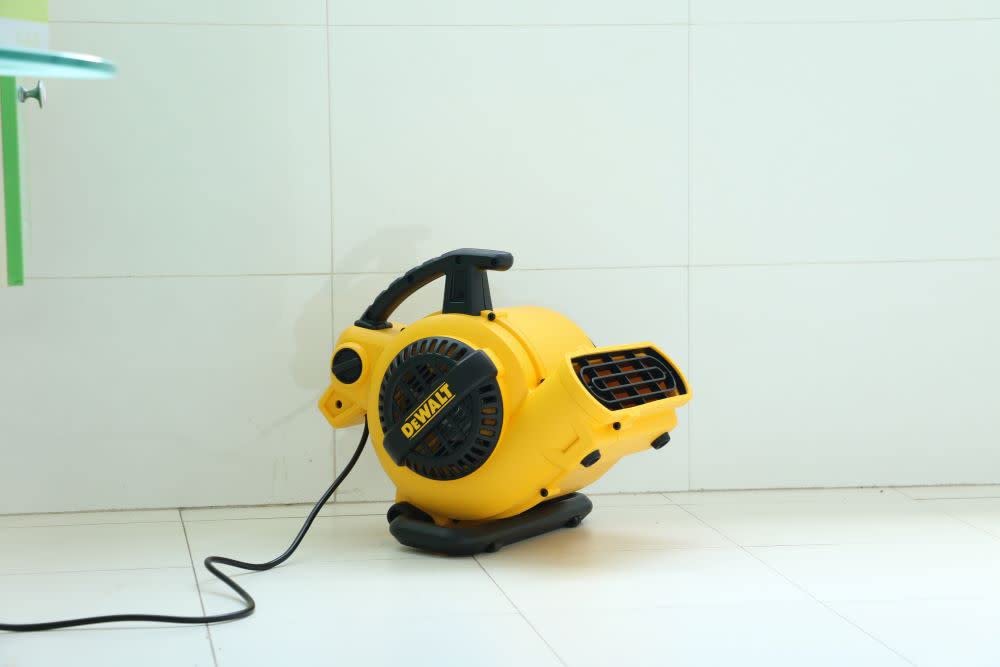 Dewalt Portable Air Mover, 276W 3 Speed Floor Fan, Utility Blower Fan, 1/5 Hp 600 Cfm Floor Dryer, Carpet Dryer, Floor Fan, Blow
