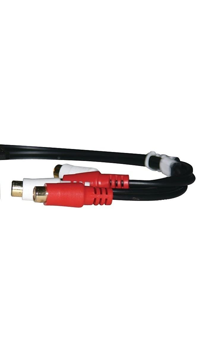 Remote Level Control Pac Rca In/Out