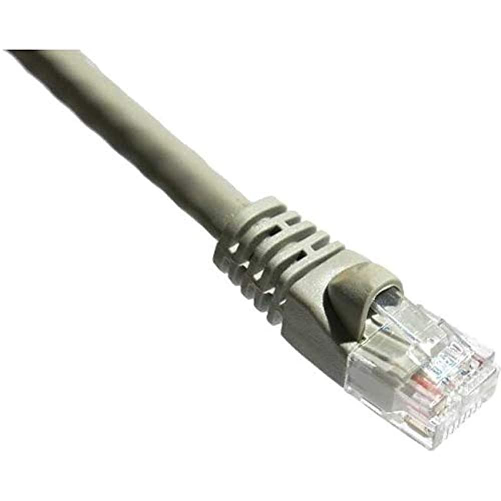 Axiom 30Ft Cat5E 350Mhz Patch Cable Molded Boot (Gray)