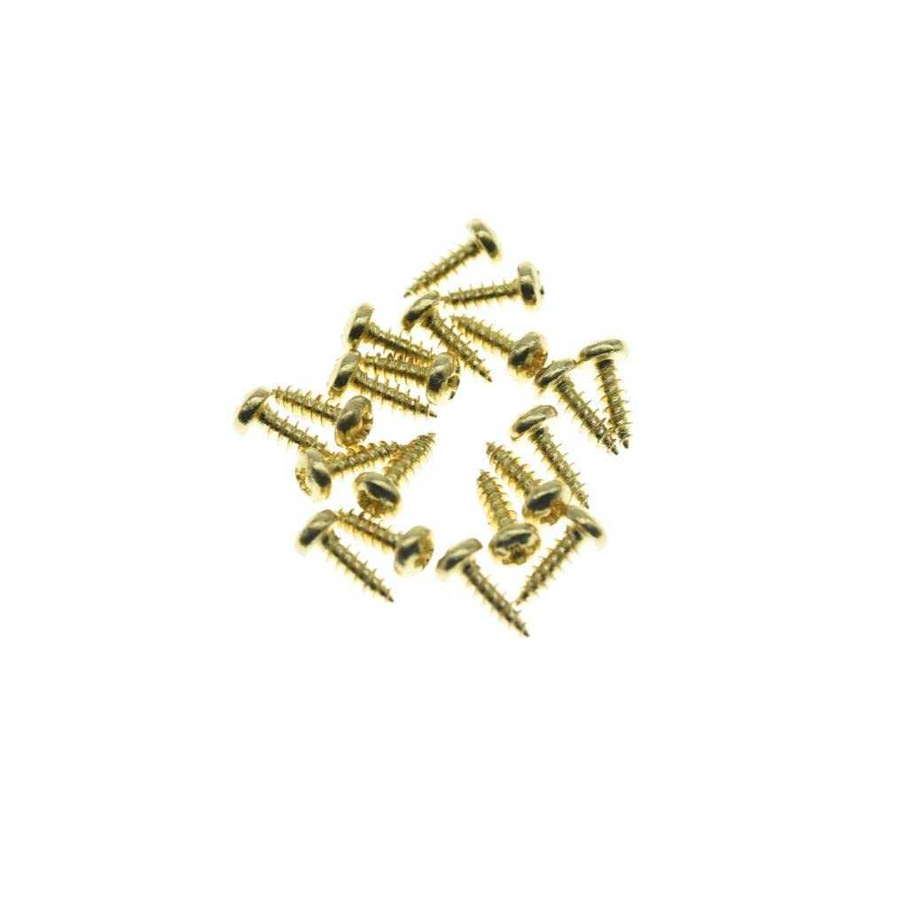 Dopro 20x Stainless Steel American #2 x 1/4 Phillips Head Truss Rod Cover Screws Guitar Truss Rod Cover Screw for Import Style L