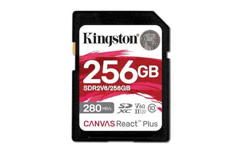 256GB Canvas React Plus SDXC